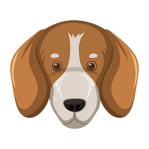 Dog Lovers Theme Brittany Dog Face Transparent Sticker